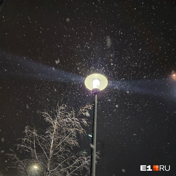Источник: читатель E1.RU