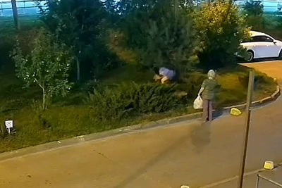 Жители ЖК «Колизей» жалуются на бабушку-Плюшкина, укравшую медведя