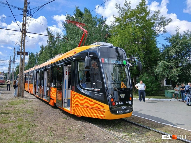 Ну как хорош! | Источник: Роман Марьянененко / E1.RU