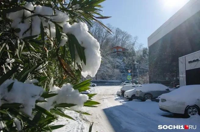 Предстоящей ночью будет минус 5 | Источник: Оксана Витязь / SOCHI1.RU