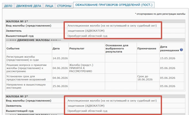 Жалобы подали адвокаты | Источник: Ленинский районный суд Оренбурга