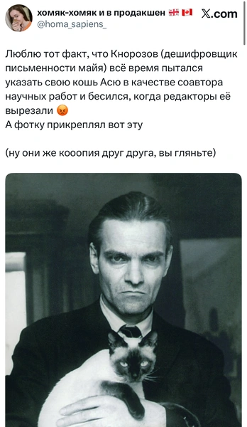 Источник: X (Twitter)