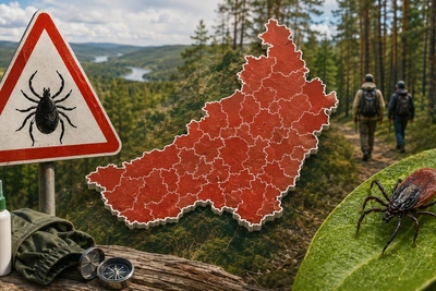 Клещи в Забайкалье: опасность подтверждена