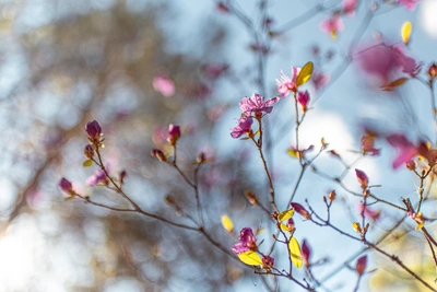 Погода в Забайкалье в первую весеннюю субботу