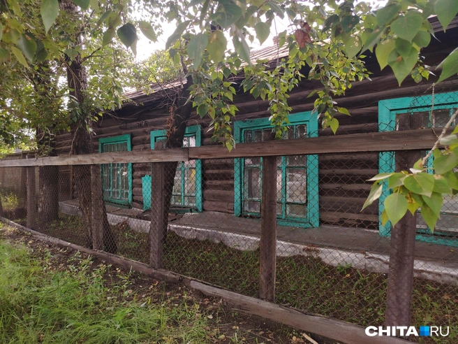 Источник: Дарья Харламова / CHITA.RU