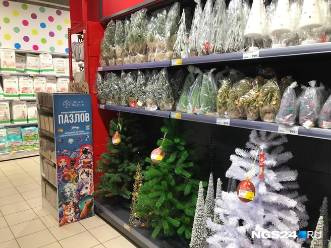 На любой вкус и размер квартиры  | Источник: Дмитрий Мамаев / NGS24.RU 