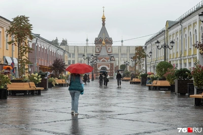 Заморозки в Ярославской области: прогноз на неделю
