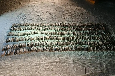 Двоих браконьеров задержали за вылов 500 омулей на Байкале