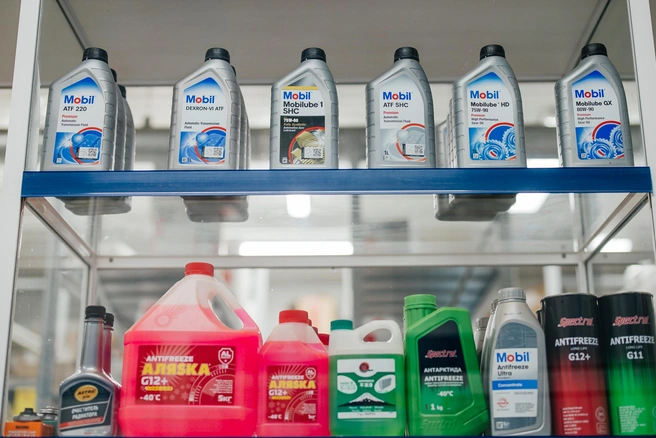 Источник: Ксения Зимина