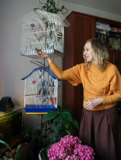 В работе Оле помогает ее маленький рай – птички и черепашка Леонардо
