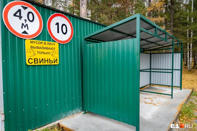 Садоводы уверены: звери идут к садам в поисках еды | Источник: Владислав Лоншаков / E1.RU