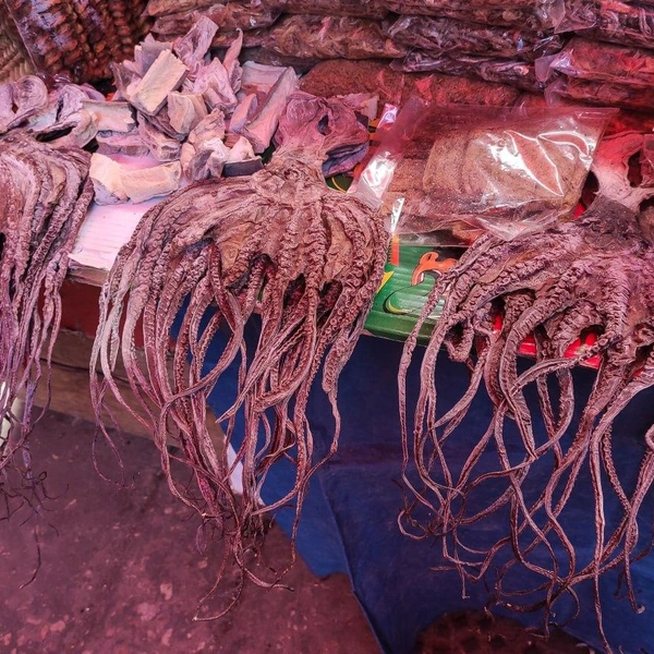 Путешествие в Занзибар: впечатления фотографа из Нижнего Новгорода