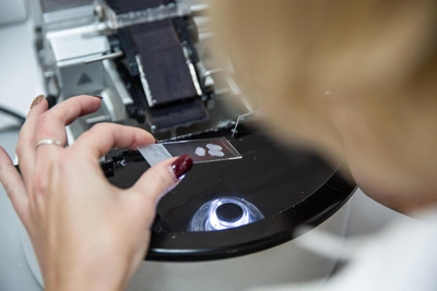 В Томске создали первую в РФ антимикробную пленку для продуктов