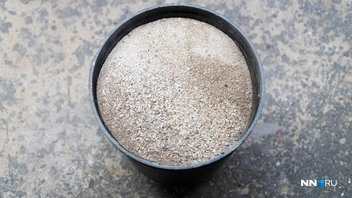 Источник: Кристина Калинина / NN.RU