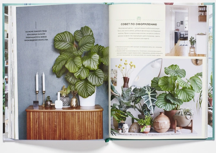 Выбор ELLE Decoration: книги июля (фото 2)