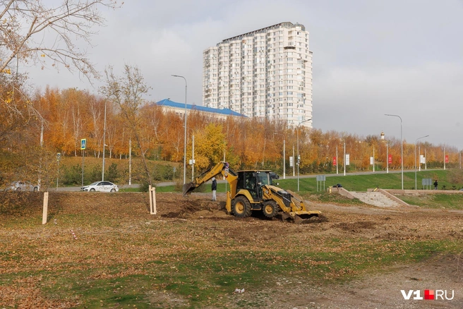 С деревьями работники МБУ «Волгоградзеленхоз» почти закончили | Источник: Алексей Волхонский / V1.RU