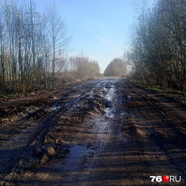 Однако власти говорят, что ремонта пока не будет | Источник: читатель 76.RU