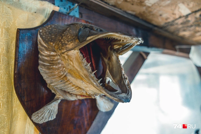 Рыбные деликатесы для многих горожан становятся музейной редкостью | Источник: Наталья Лапцевич