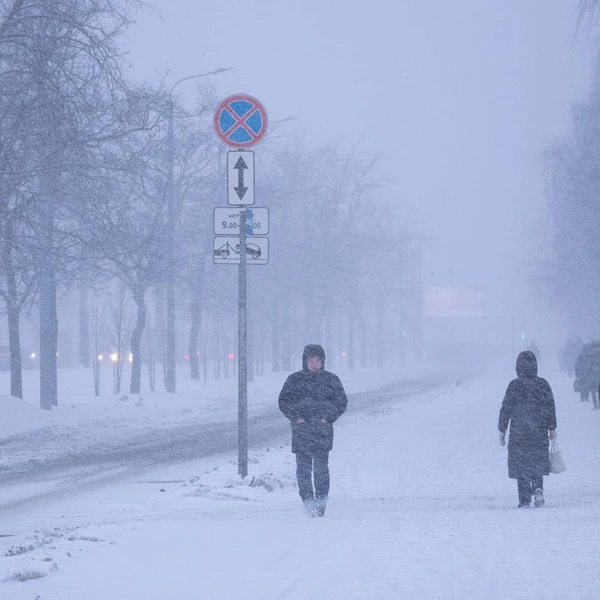Источник: Сергей Николаев / FONTANKA.RU