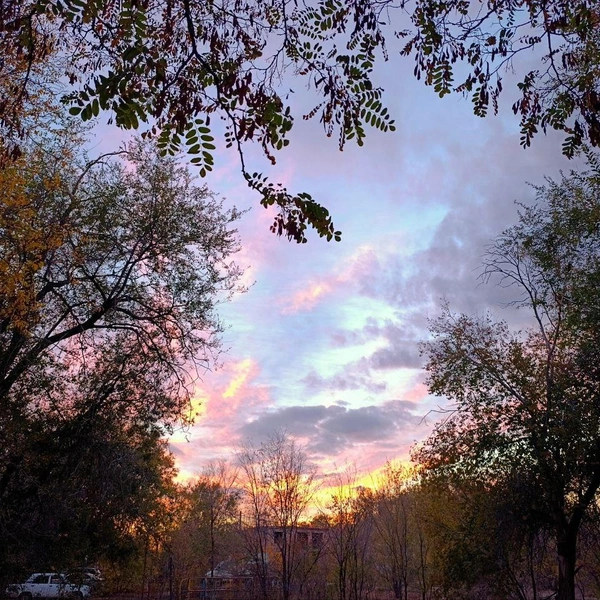 Источник: читатели V1.RU