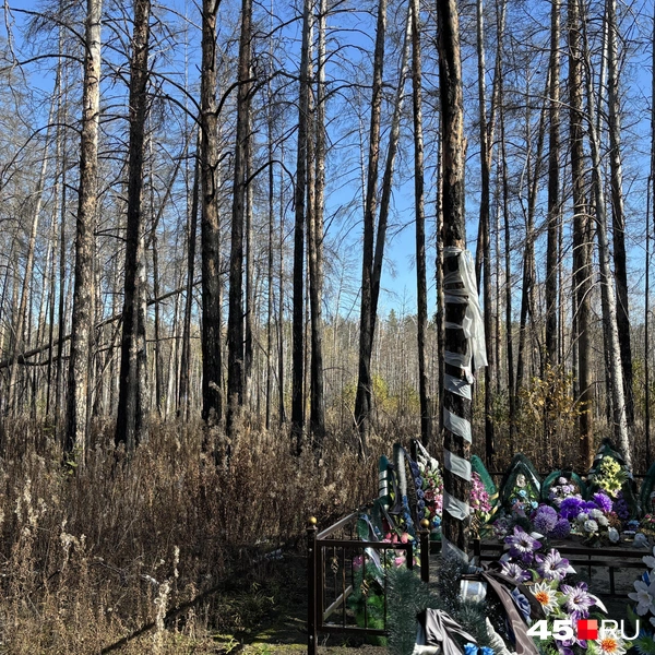 Источник: Кирилл Митин