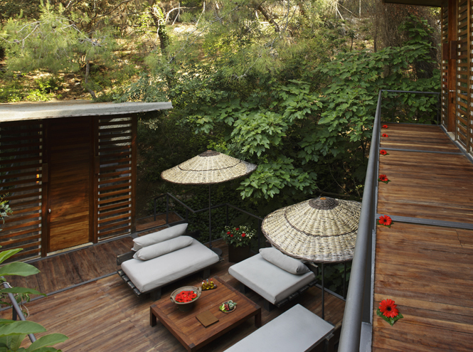 Источник: Архивы пресс-служб