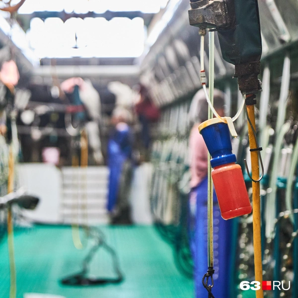 Источник: Роман Данилкин / 63.RU