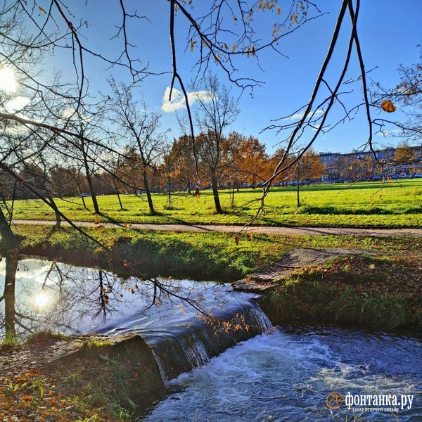 Источник: читатель «Фонтанки»