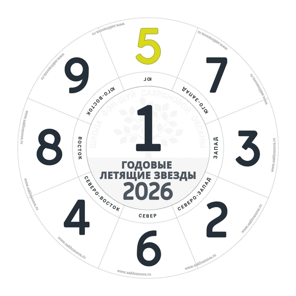 «Азарт, вдохновение и внутренний огонь»: как сделать 2026-й своим лучшим годом | Источник: личный архив эксперта