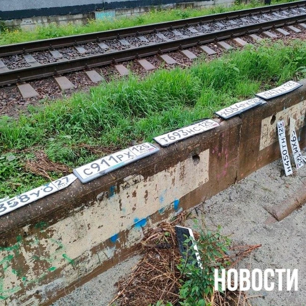 Источник: vl.ru