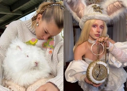 Теория белого кролика: правда ли, что все хорошее рано или поздно заканчивается?