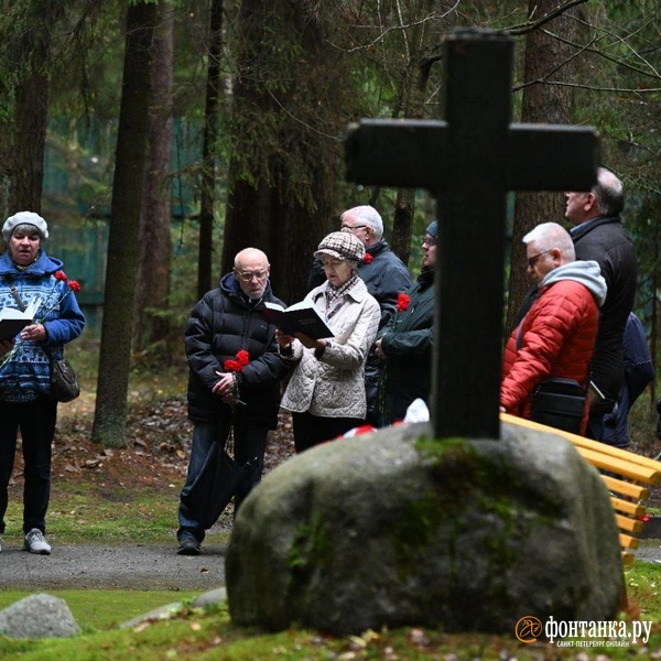 Источник: Андрей Бок / «Фонтанка.ру»