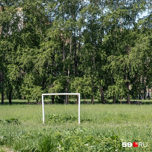 Стадион порос сорняками и нуждается в обновлении | Источник: Василина Любимова / 59.RU