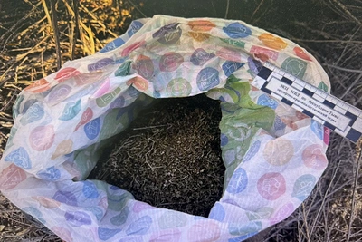В Туране задержан мужчина при сборе марихуаны