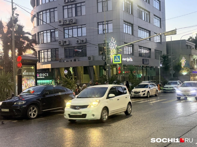 В 2025 году платные парковки принесли в бюджет Сочи 229,5 млн рублей | Источник: Анна Грицевич / SOCHI1.RU
