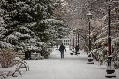 Warming to -7°C forecast for Novosibirsk in late January