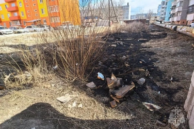 Школьник поджёг 60 кв. метров травы в Чите