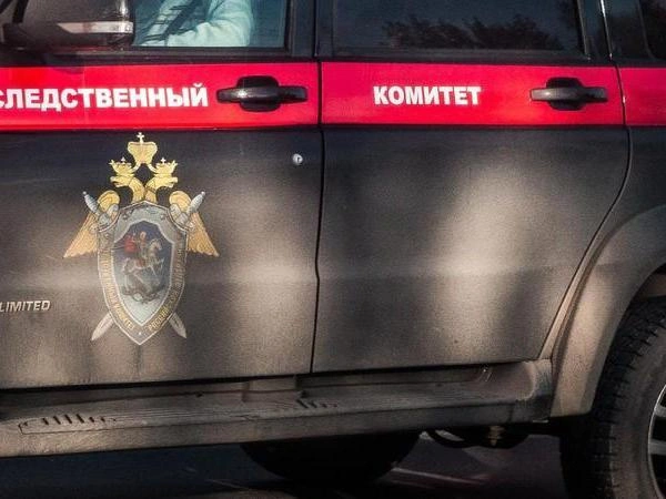 Уголовное дело возбуждено по факту нападения собаки на фельдшера | Источник: Ольга Бурлакова / NGS.RU