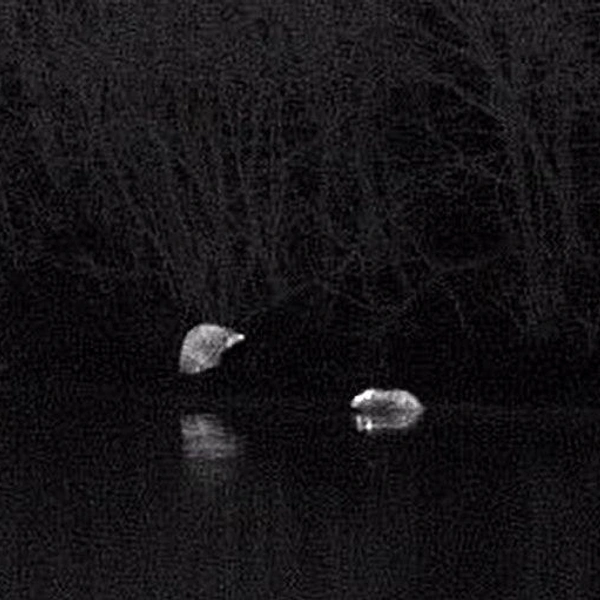 Источник: Павел Глазков / Каждой твари по паре