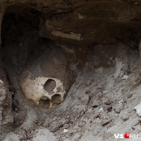 Костям больше 150 лет | Источник: Алексей Волхонский / V1.RU