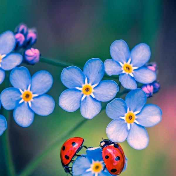 Источник: Lauri Lohi/Shutterstock/Fotodom.ru