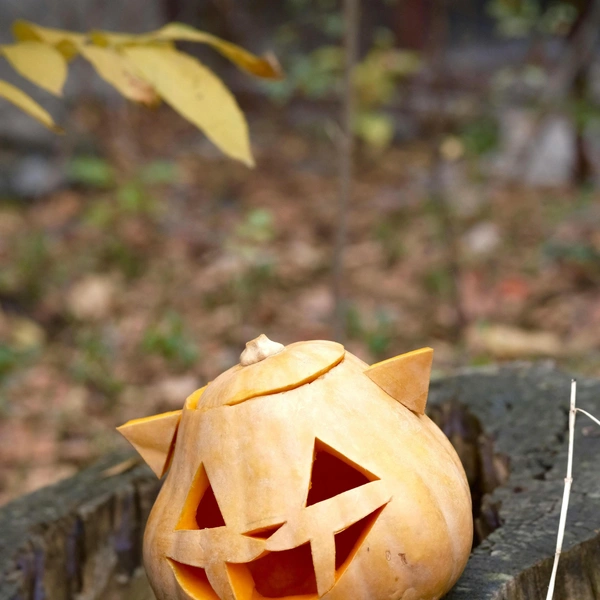 Источник: Unsplash