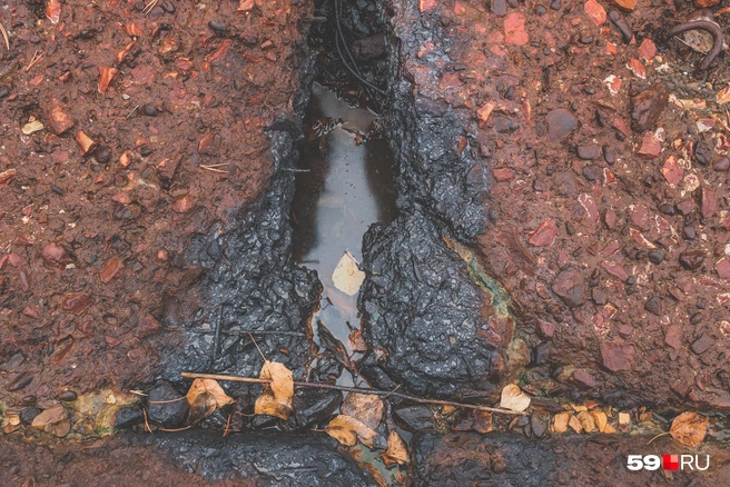 Так выглядит нефтяная жижа, смешанная с дождевой водой | Источник: Тимофей Калмаков