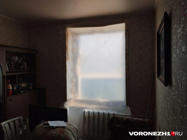 Источник: Дмитрий Волгин / Voronezh1.ru