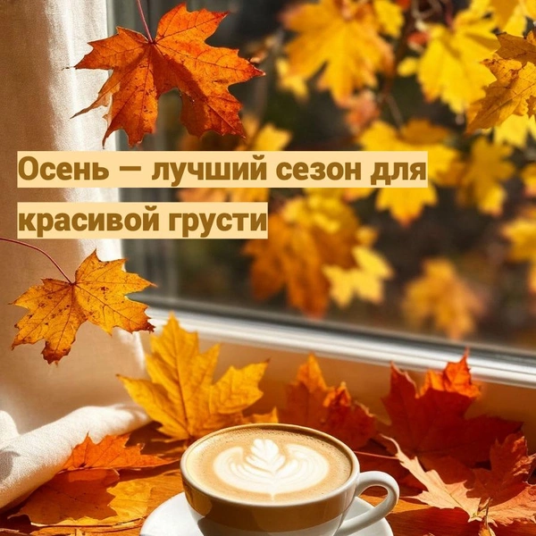 открытки с осенью, открытки с пожеланиями доброй осени, открытка с доброй осенью, открытки с осенью красивые, открытки с добрым утром осень, открытка с днем осени, открытка с добрым утром красивая осень, открытки с осенью с пожеланием | Источник: theDay/Шедеврум