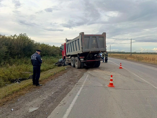 Источник: ГИБДД по Свердловской области