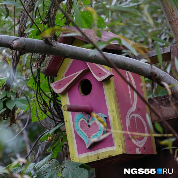 Скворечник в стиле Барби | Источник: Евгений Софийчук / NGS55.RU