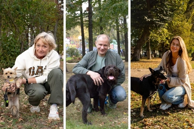 Five charming stories about Yaroslavl dogs