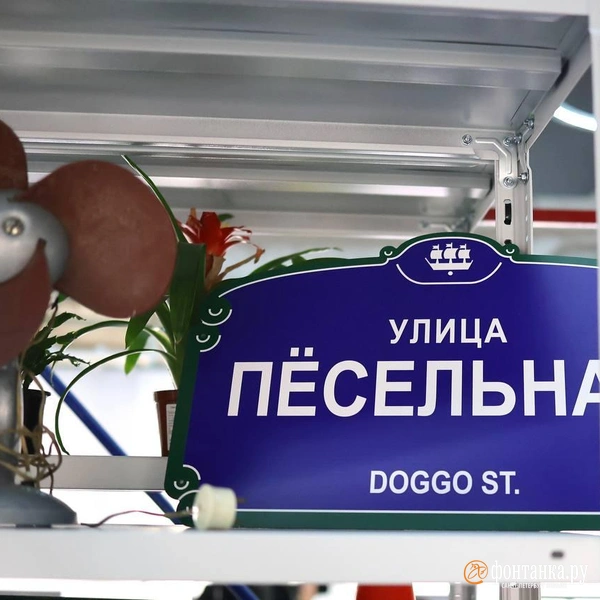 Источник: Дарья Драй / «Фонтанка.ру»