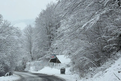 В Воронеже из-за снегопада депутат посоветовал жителям убрать снег